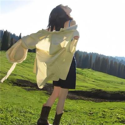 东方秃鹰
